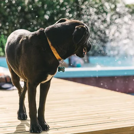 And The Sea Hotel apartamentowy Ericeira